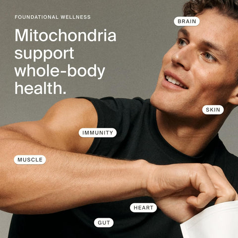 Timeline Mitopure Urolithin A Healthy Aging and Cellular Longevity 60 Softgels