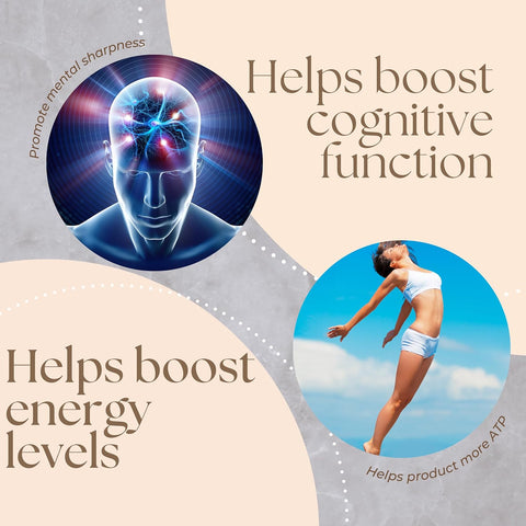 Research Labs NAD+ Nicotinamide Riboside Quercetin Resveratrol Betaine True NAD Anti Aging