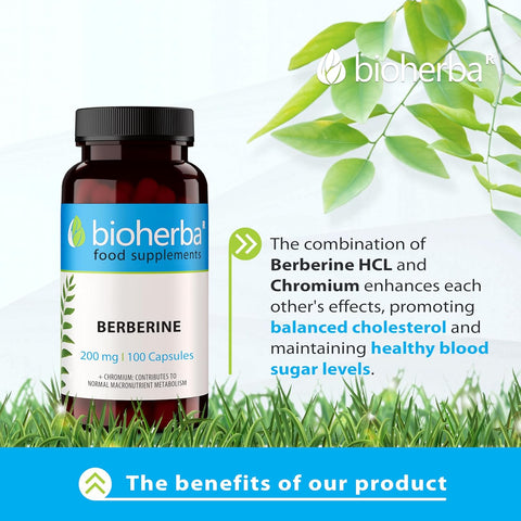 Bioherba Berberine Antioxidant(Antioksidan) 200 mg 100 caps