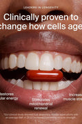 Timeline Mitopure Urolithin A Healthy Aging and Cellular Longevity 60 Softgels