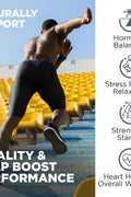 Nutrivein Premium Himalayan Shilajit with Irish Sea Moss Tongkat Ali Ashwagandha 1500 mg - 60 Caps