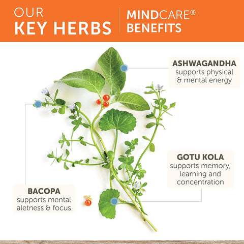 Himalaya MindCare Nootropic Herbal Brain for Memory and Focus Bacopa Ashwagandha 60 Caps