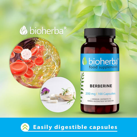 Bioherba Berberine Antioxidant(Antioksidan) 200 mg 100 caps