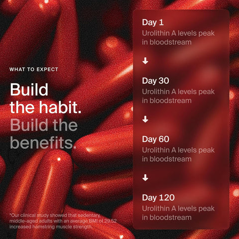 Timeline Mitopure Urolithin A Healthy Aging and Cellular Longevity 60 Softgels