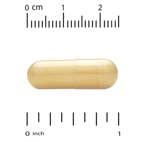 Life Extension Two-Per-Day Multivitamin 120 Caps