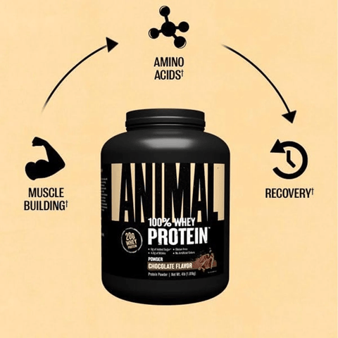Universal Animal Whey Protein 2 kg