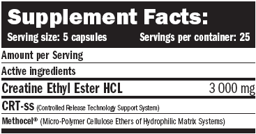 AMİX CEE Creatine Ethyl Ester 125cps
