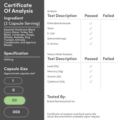 Double Wood Mushroom Lion's Mane Reishi Cordyceps and Turkey Tail 120 Caps