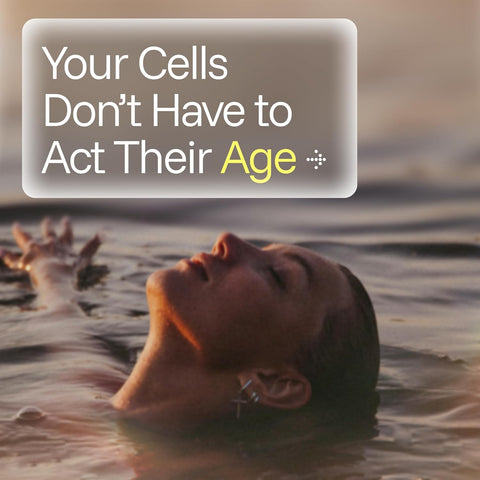 ProHealth Pure Trans Resveratrol Plus Quercetin Red Wine & Green Tea Extract Healthy Aging 1000mg 60 Caps