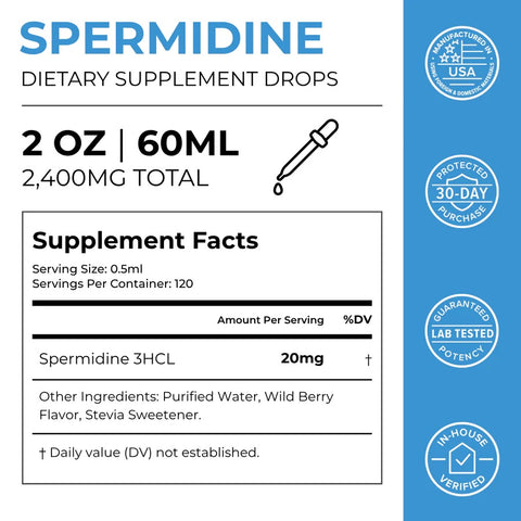 Neurogan Spermidine 60 ML