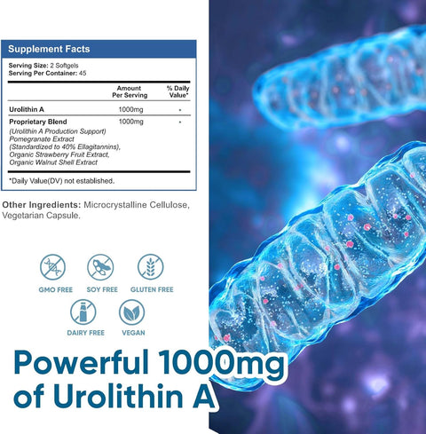 VIVALIFER Urolithin A 1000 MG Antioxidants for Healthy Aging 90 Softgels