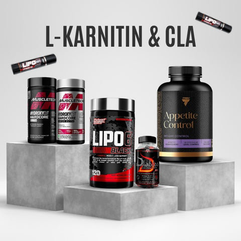 l-karnitin ürünleri