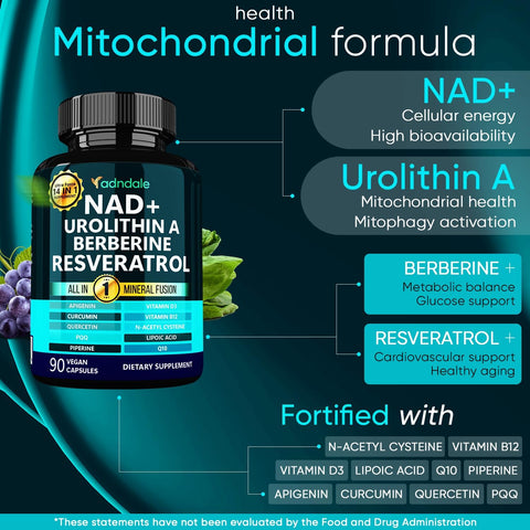 Adndale NAD Urolithin-A Berberine Longevity Formula with Liposomal NAD+ Trans Resveratrol CoQ10 NMN Nac Pqq Apigenin 90 Vegan Caps