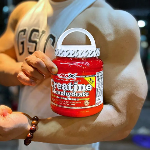 AMIX Creatine Monohydrate Powder 500 GRAM 100 SERVİS