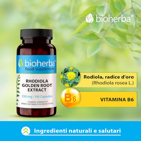 Bioherba Rhodiola Rosea With Vitamin B6 Stress Relief Mental Nervous 100 Caps