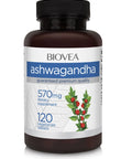 Biovea Ashwagandha 570mg 120 Vegetarian Tablets - Supplementhane