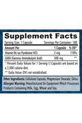 HAYA LABS GABA - B6 500 mg 100 Vcaps