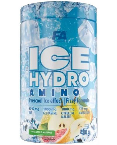 FA ICE Hydro Amino EAA+GLUTAMİN+BCAA 480 g