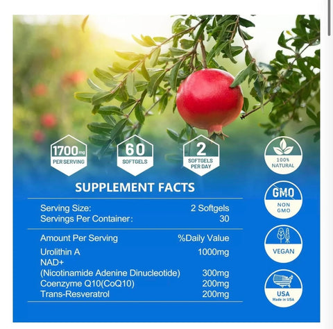 inGreens Liposomal Urolithin A Nad+ Coq10 Trans Resveratrol 1700 mg 60 sofgels