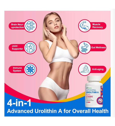 inGreens Liposomal Urolithin A Nad+ Coq10 Trans Resveratrol 1700 mg 60 sofgels