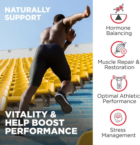 Nutrivein Premium Fadogia Agrestis and Tongkat Ali with Turkesterone - 1100 mg - 120 Caps Strength, & Recovery for Men & Women