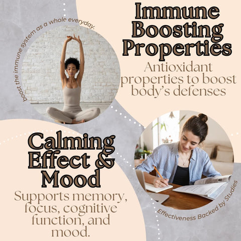 Research Labs Organic Lions Mane Immune System Booster & Nootropic Brain Support Mushroom 120 Caps