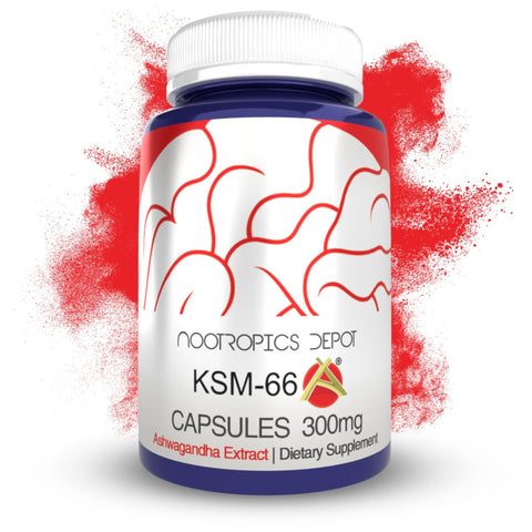 Nootropics Depot KSM66 Ashwagandha Capsules 300mg 90 Caps