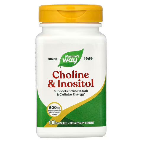 Nature's Way Choline &amp; Inositol, Supports Brain Health &amp; Cellular Energy 100 Caps