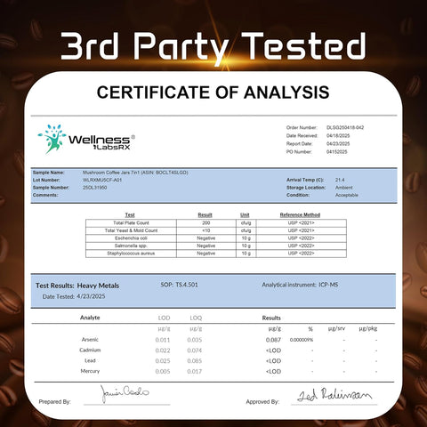 Wellness Labs Mushroom Coffee Lions Mane, Chaga, Reishi, Cordyceps, Maitake, Shiitake, and Turkey Tail 90 Servings