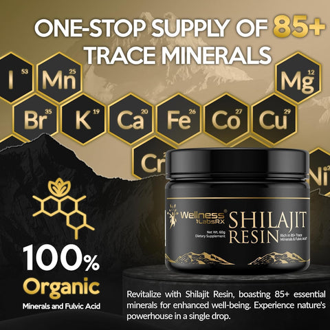 Wellness Labs Himalayan Shilajit for Men Resin with Fulvic Acid and Trace Minerals Immune Support 120 Servis